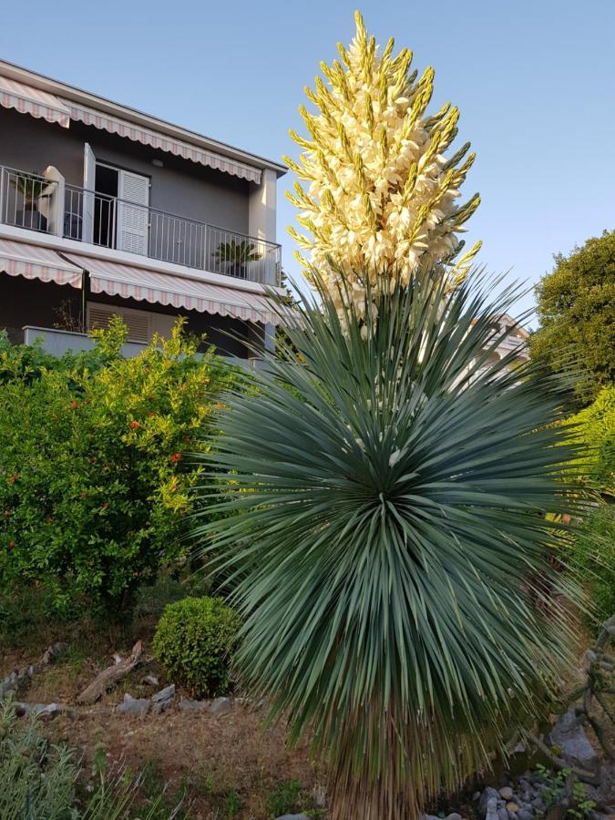 House Diana Hotel Dramalj Exterior photo